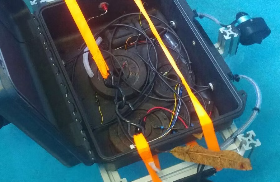 Proteus BETA Model 6